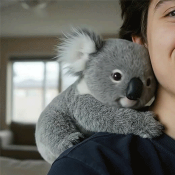 Healing Papa Koala doll|Give yourself a gentle hug🌿