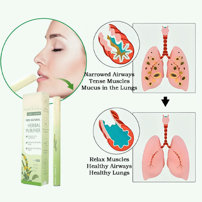 2025 New product π± Thyme And Mint Extracts For Lungdetoxification
