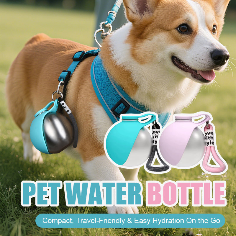 Pet Water Bottle