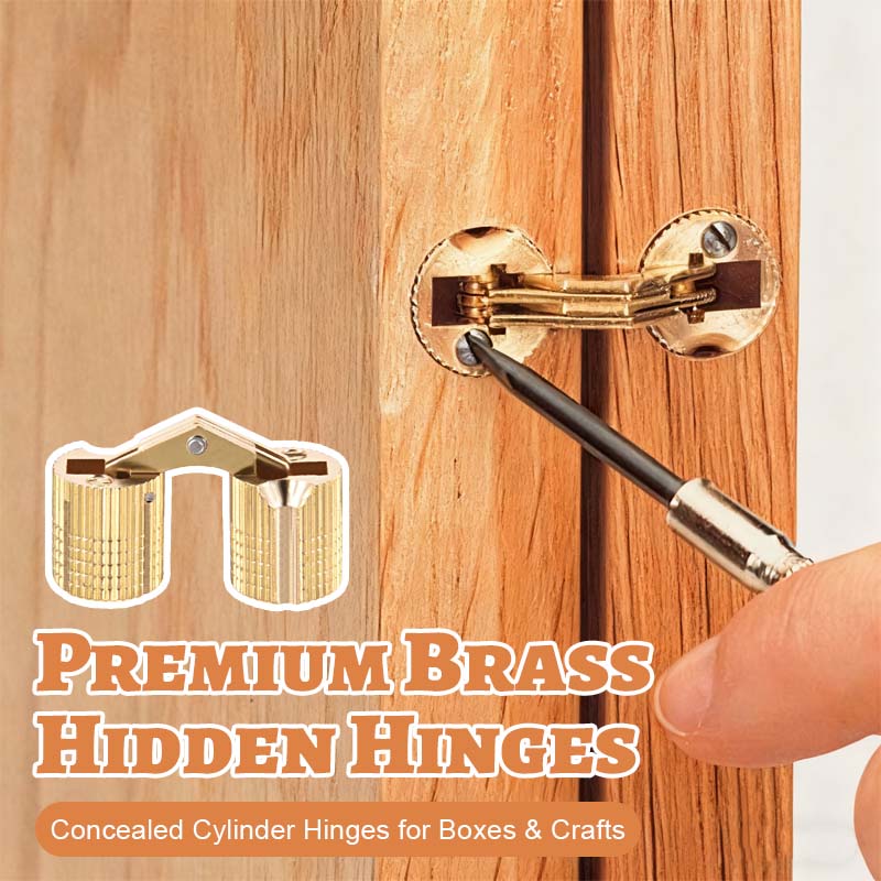 Premium Brass Hidden Hinges
