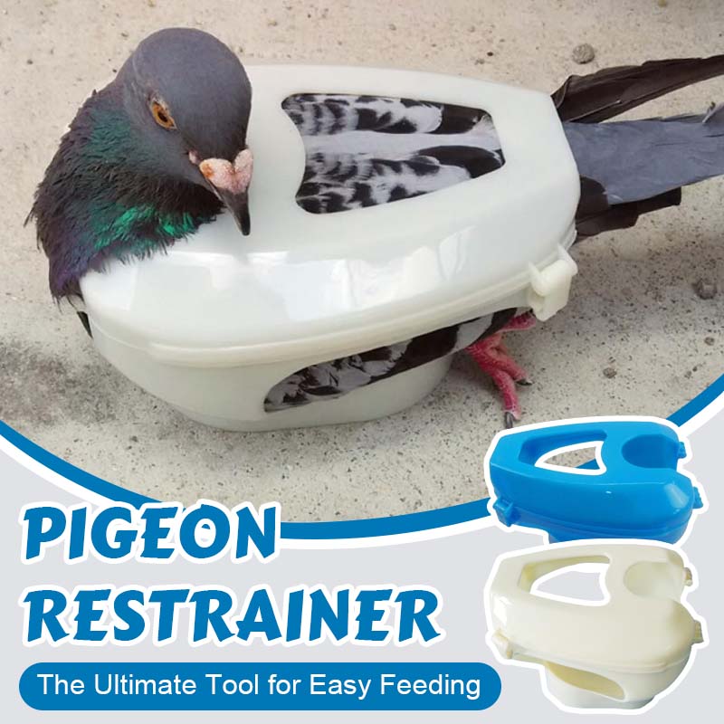 🐦 Pigeon Restrainer