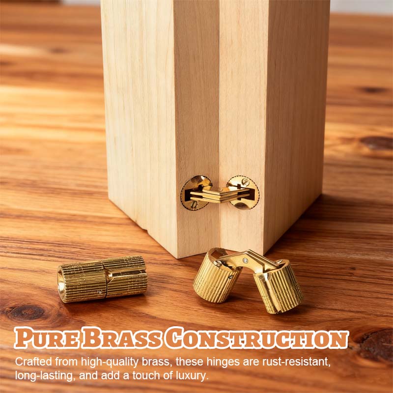 Premium Brass Hidden Hinges