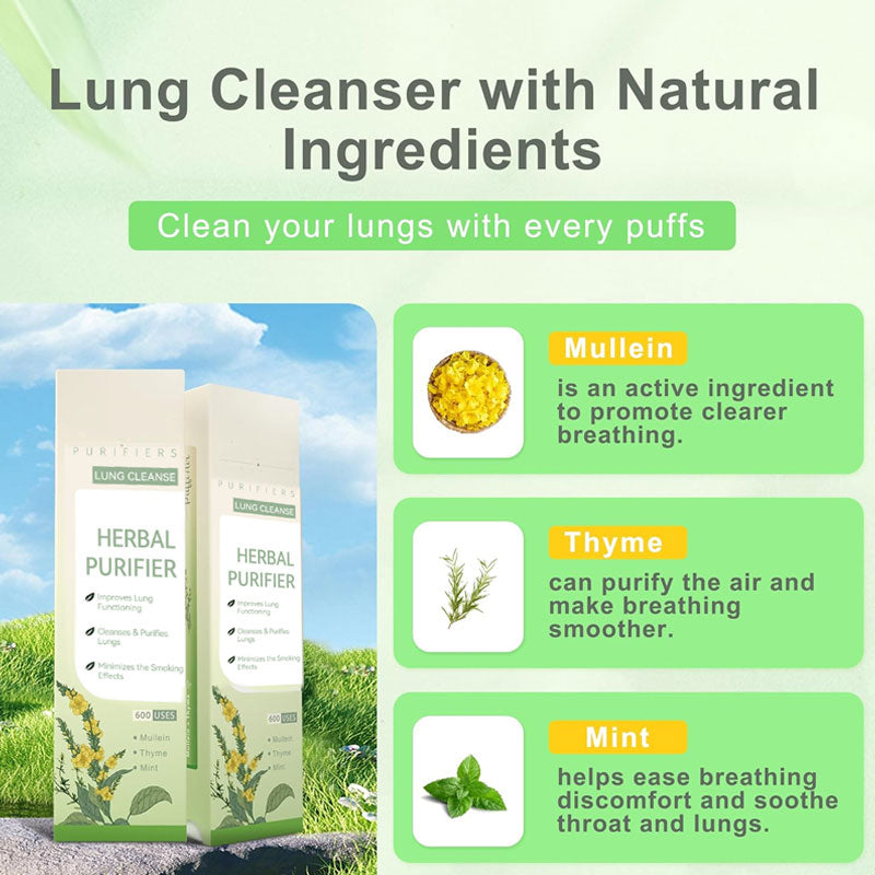 2025 New product 🌱 Thyme And Mint Extracts For Lungdetoxification