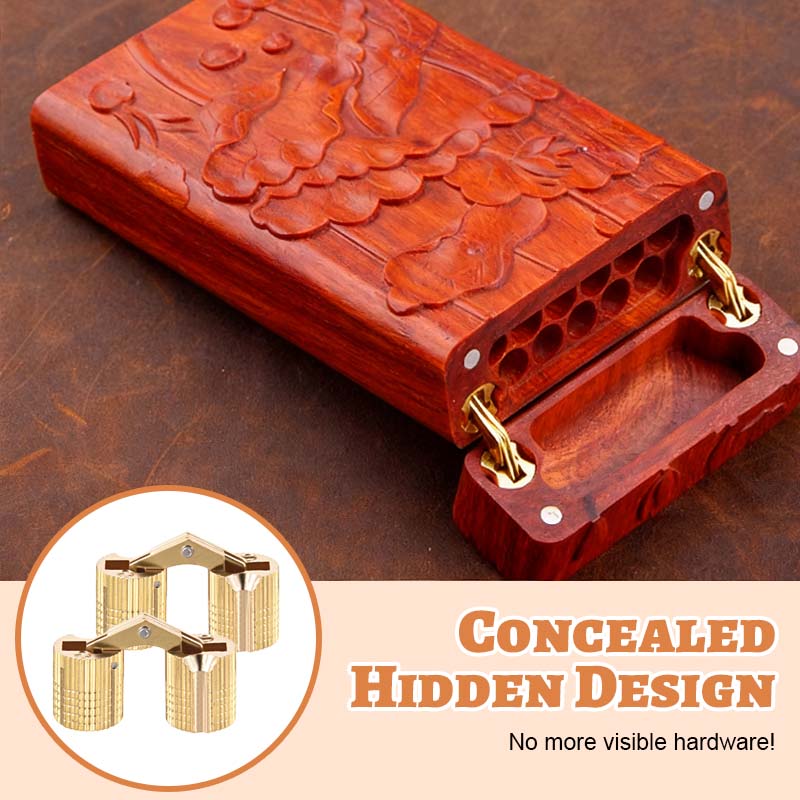 Premium Brass Hidden Hinges