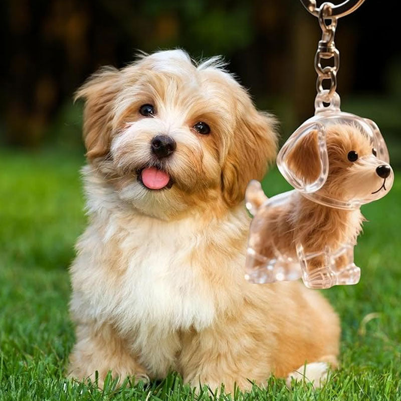 🐶Pet Hair Souvenir Pendant Keychain – Keep the Warmth of Your Companion💖✨