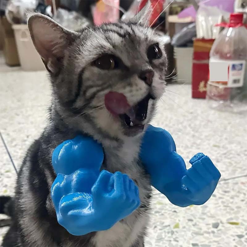 Muscular Hands And Arms With Creative Cat Necklace
