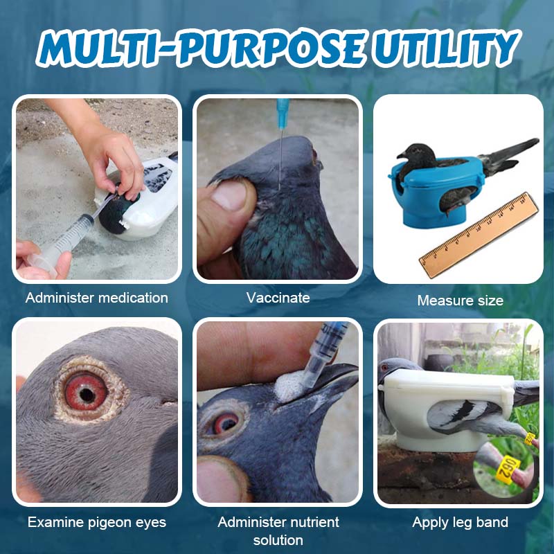 🐦 Pigeon Restrainer