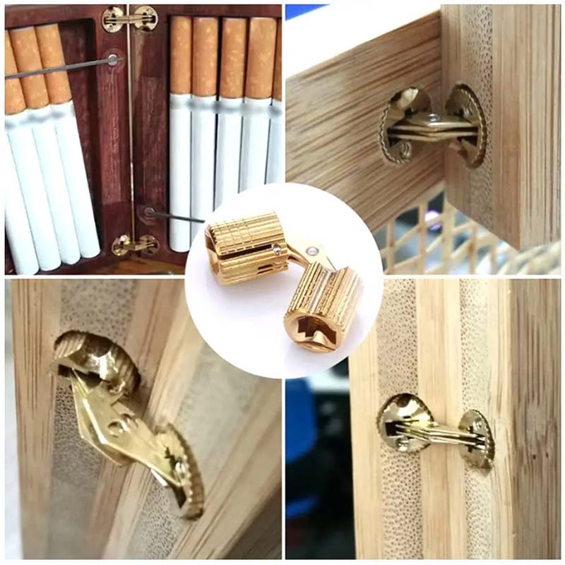 Premium Brass Hidden Hinges