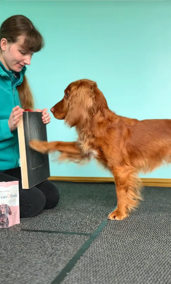 Wooden Dog Scratching Post